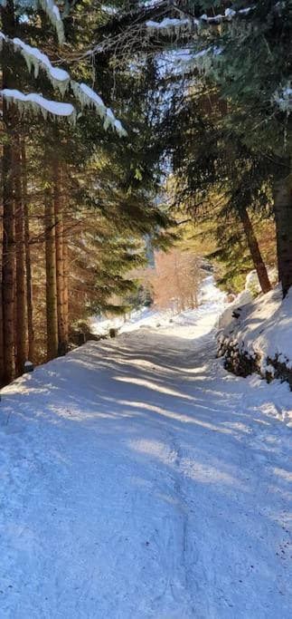Residenza Sofia - Fraz. Pezzo Casa vacanze Ponte Di Legno